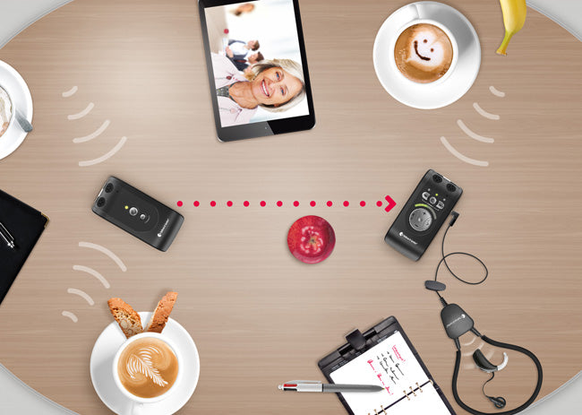 Domino Pro Listening System with Long Neckloop and Earphones