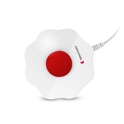 Ada Alarm Clock Pro Bellman Symfon product thumbnail