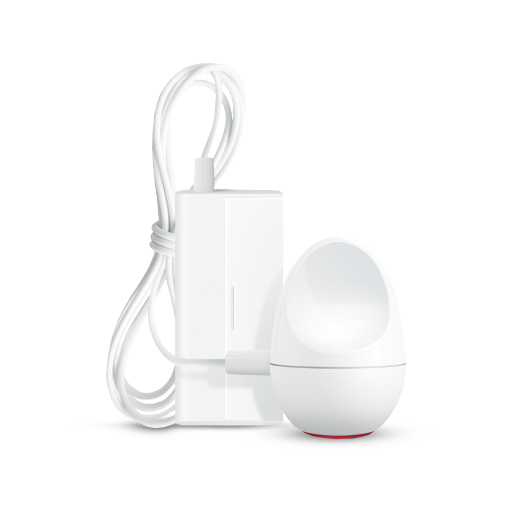 Phone System with Portable Receiver and Bed Shaker